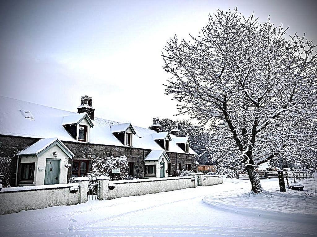 Rosemount Bothy - Highland Cottage Garve Luaran gambar