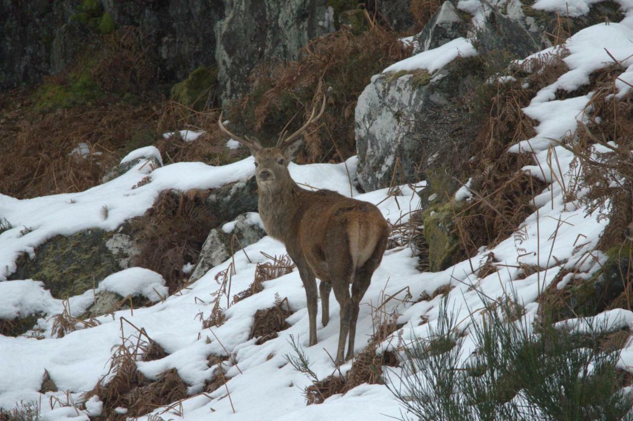 Rosemount Bothy - Highland Cottage Garve Luaran gambar