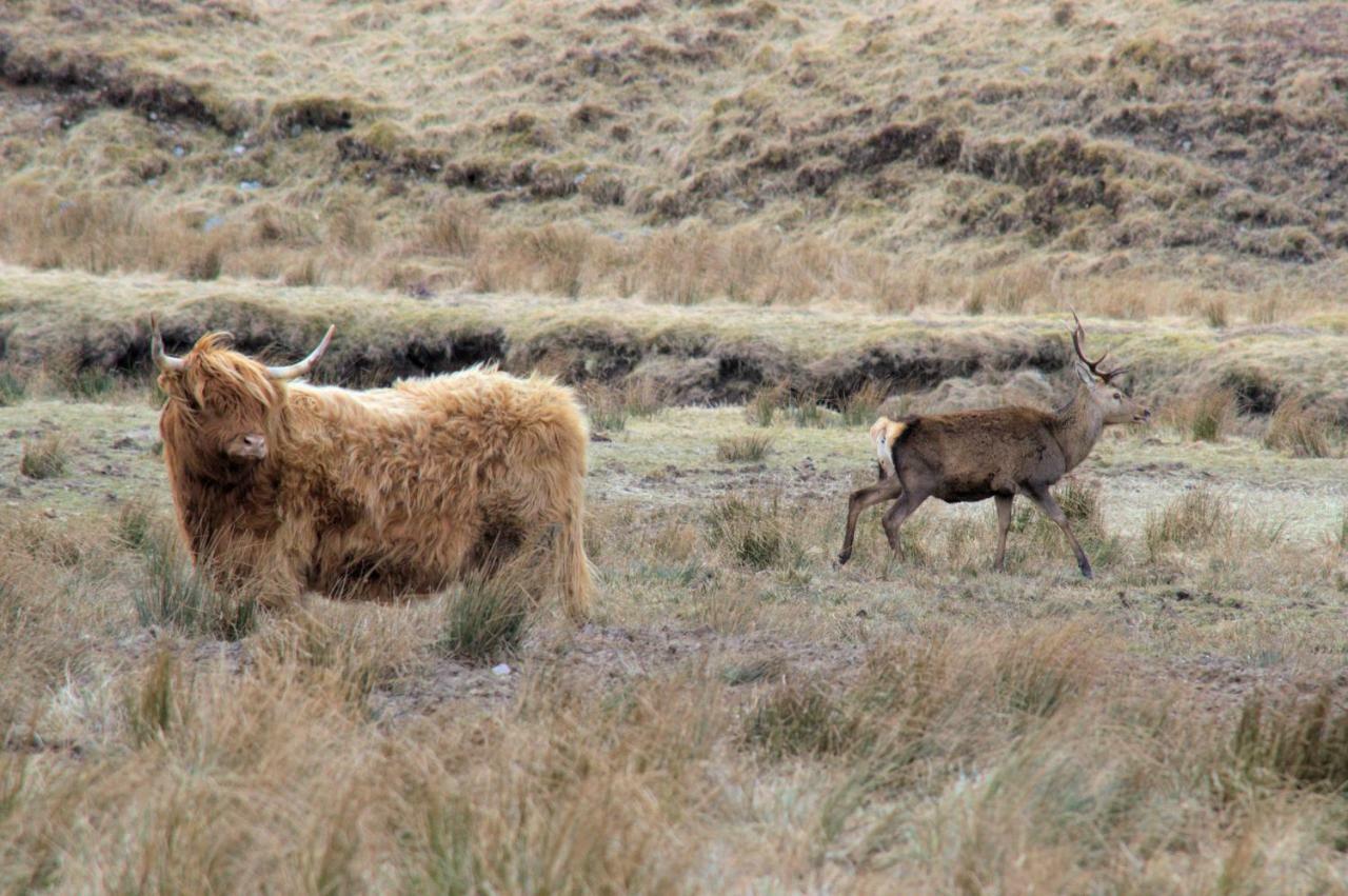 Rosemount Bothy - Highland Cottage Garve Luaran gambar